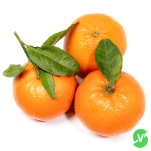 Clementine-Nadorcot