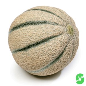 Meloen-Cavaillon