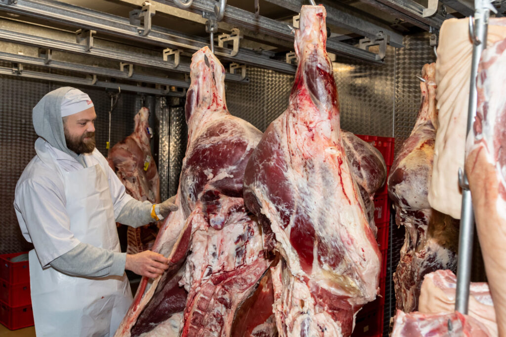 Slager van Slagerij Vincent die het ontvelde rundvlees in de koelcel presenteert.